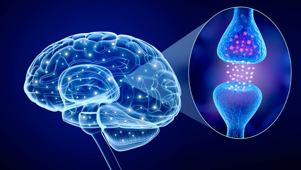 Optimaliseer 4 neurotransmitters die je gevoel, geluk, gezondheid en prestaties verbeteren